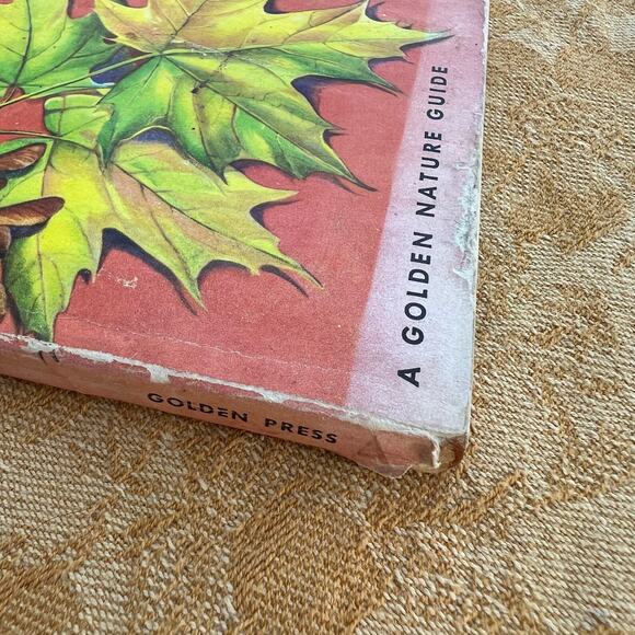 Trees a Guide to Familiar American Trees: 143 Trees in Color - Picture 3 of 8